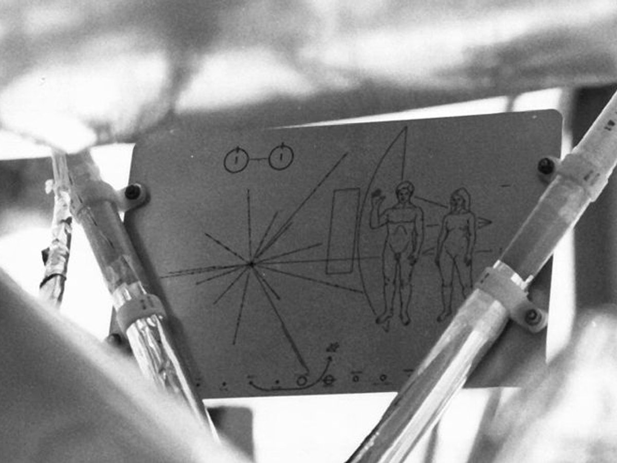 The gold-anodised Pioneer plaque mounted on the spacecraft antenna support struts